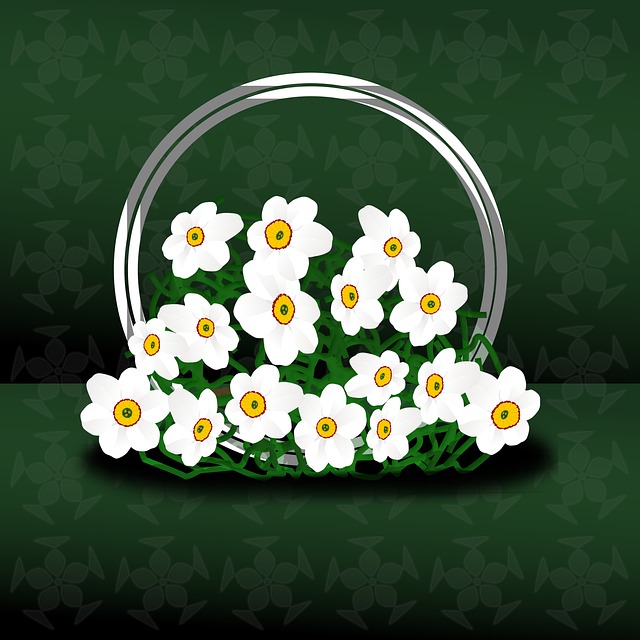 Narciso Poetico, Autor, Poeta, Natureza