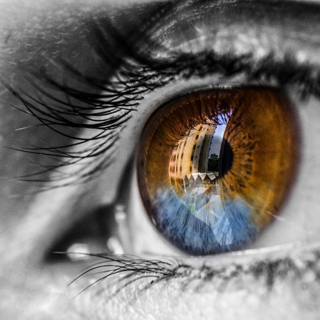 Heterochromie, Augen, Porträt, Jung