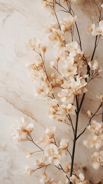 Blumen, Creme, Beige, Marmor, Zweig