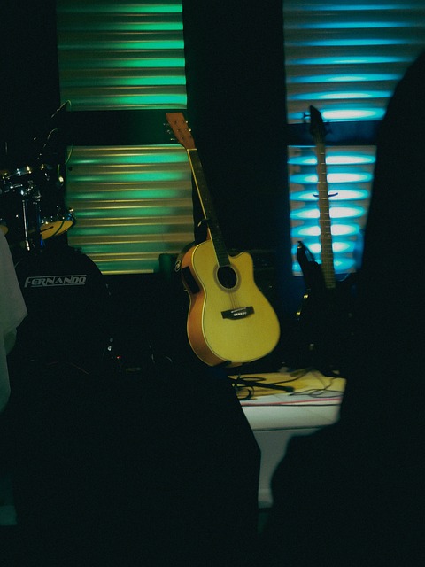 Free Guitar Concert photo and picture
