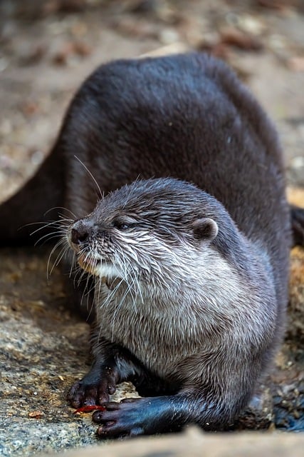 Free Cute Nature photo and picture