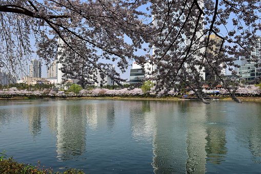 Free Spring Garden photo and picture