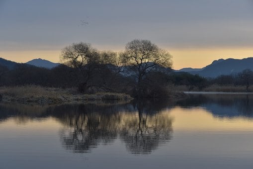 Free Dawn Nature photo and picture
