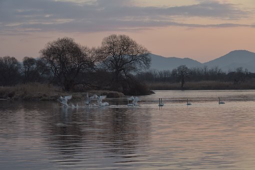 Free Morning Dawn photo and picture