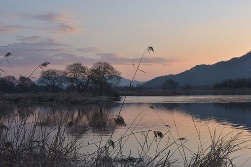 Free Dawn Morning photo and picture
