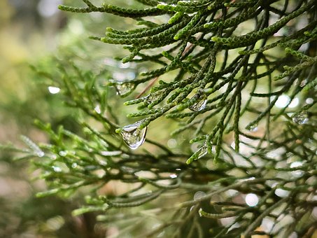 Free Water Nature photo and picture