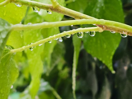 Free Water Nature photo and picture
