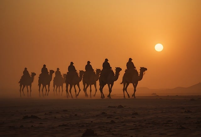 Free caravan travel camels illustration