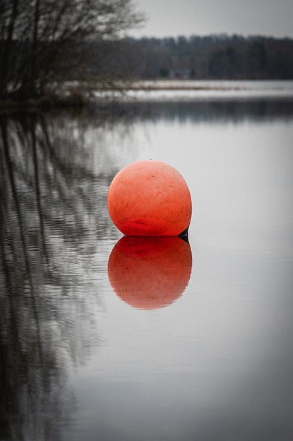 Free Buoy Water photo and picture