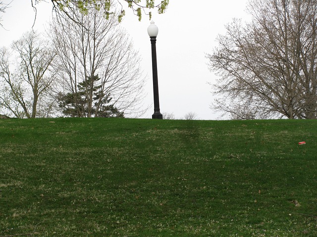 Free Lamp Lantern photo and picture