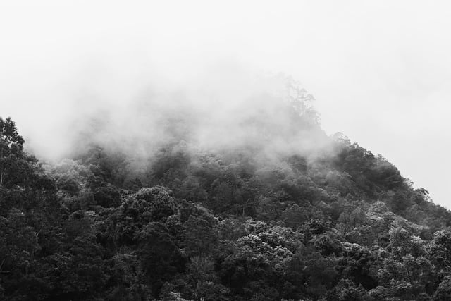 Zwart En Wit, Bergen, Sfeer, Kalm, Mist