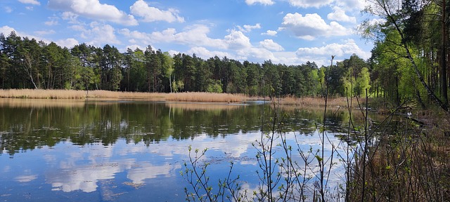 Free Lake Nature photo and picture