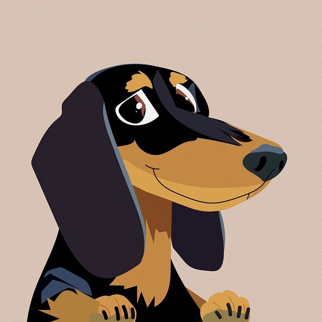 Download Dog Dachshund Puppy Royalty Free Stock Illustration Image