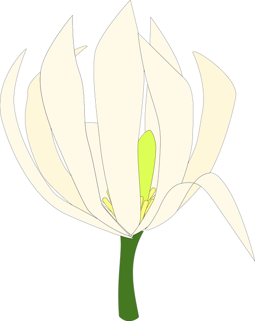 Free Flower Natural vector and picture