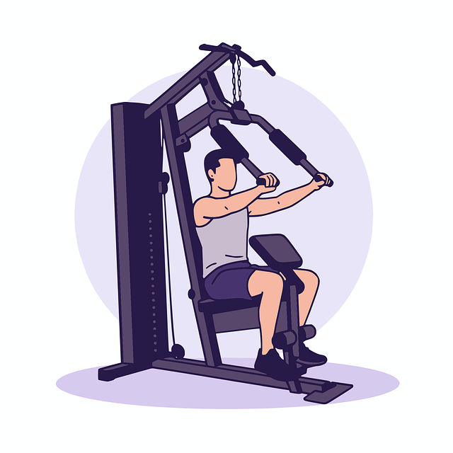 Free exercise workout gym vector