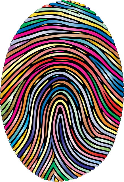 Free fingerprint pattern unique vector