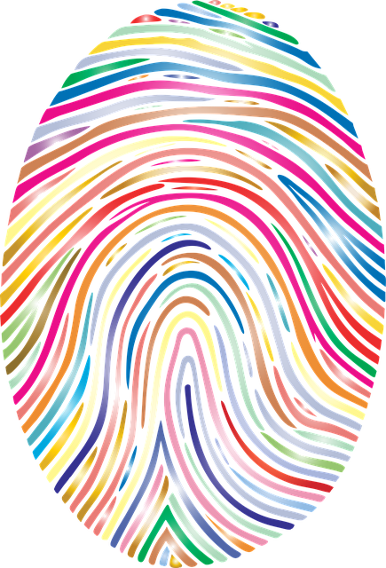 Free fingerprint pattern unique vector