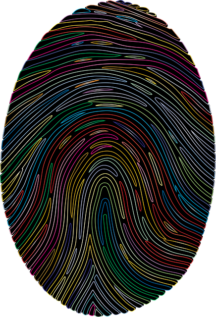 Free fingerprint pattern unique vector
