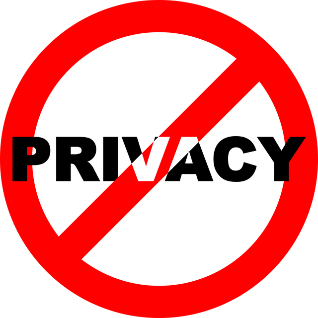 Free privacy spying surveillance vector