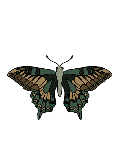 Free butterfly insect wings illustration