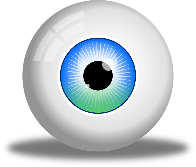 Free eye pupil eyeball vector