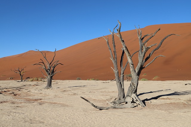 Sossusvlei, Ørken, Namibia, Afrika