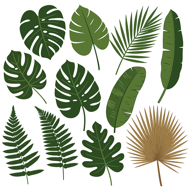 Free ai generated leaves tropical vector