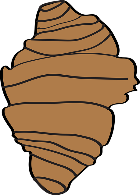 Free Croissant Pastry vector and picture