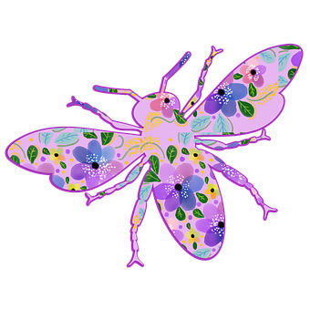 Free Bee Insect illustration and picture