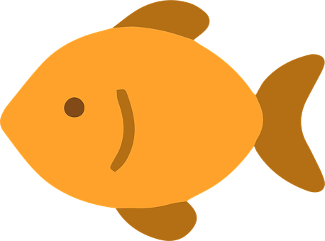 Free Fish Aquatic vector and picture