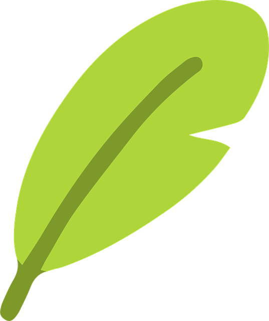 Free Leaf Green vector and picture
