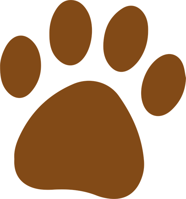 Free Paw Footprint vector and picture
