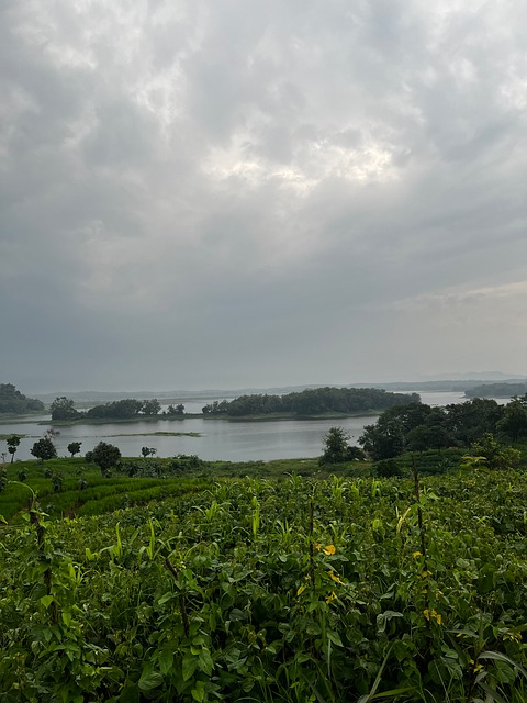 Thiên Nhiên, Rừng, Cảnh Quan