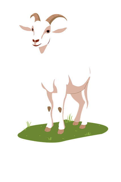 Free Animal Nature illustration and picture