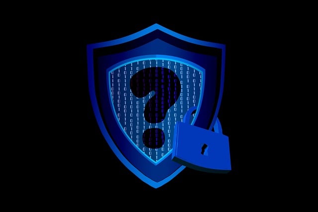 Scut, Securitate, Lacăt, Vulnerabilitate
