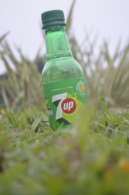 Free Lemon-Lime Soda Soft Drink photo and picture