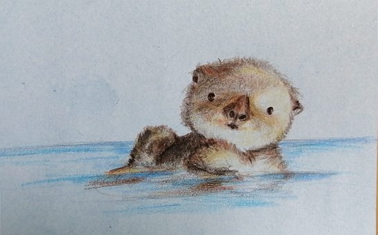 Animal, Linda, Río, Dibujos Animados