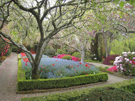 Jardim, Natureza, Árvore, Botânica