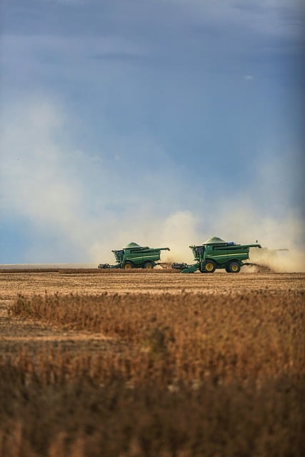 Mähdrescher, Traktor, Pflanzen, Anbau
