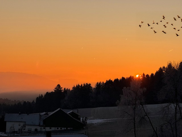Bauernhof, Landwirtschaft, Landschaft