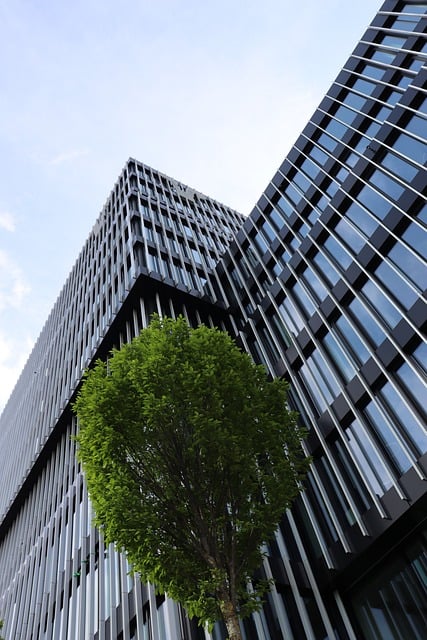 Free skyscraper office building glass facade illustration