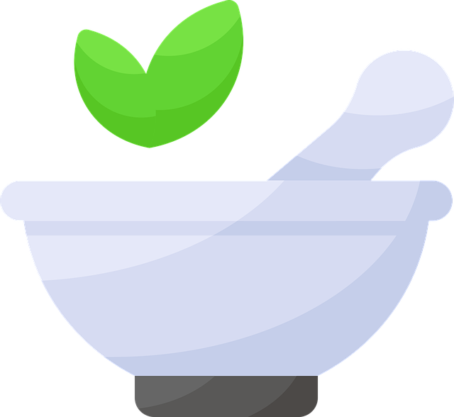 Free mortar pestle medicine vector