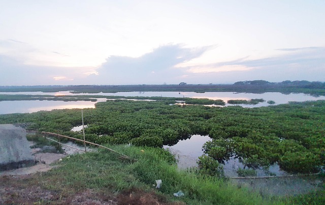 Sump, Natur, Sø, Terræn, Kanal, Italien