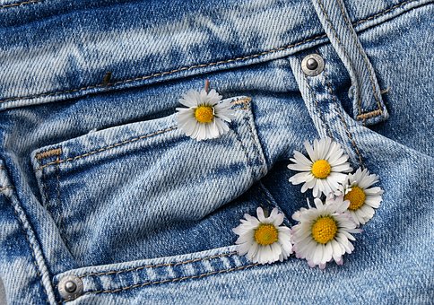 Jeans, Frühling, Gänseblümchen, Natur