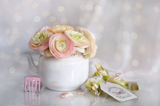 Ranunkel, Teekanne, Frühling, Blüte