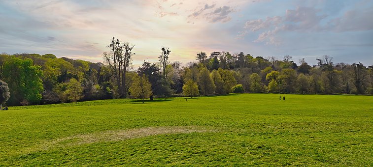 Frühling, Wiese, Grünen Wiese, Natur