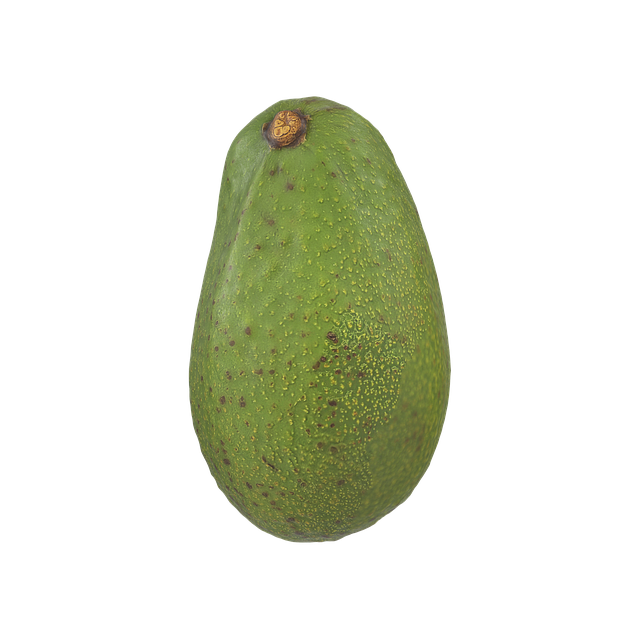 Free Avocado Fruit illustration and picture