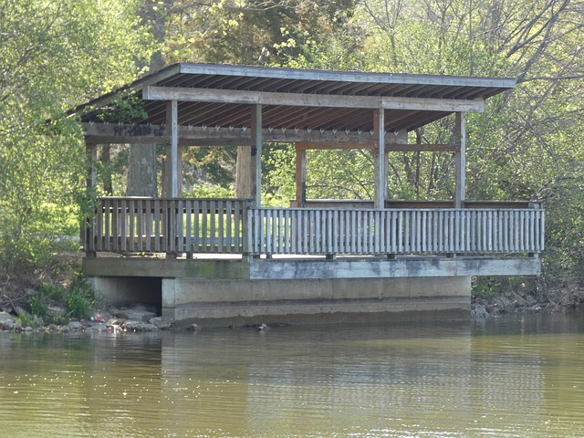 Free Deck Nature photo and picture