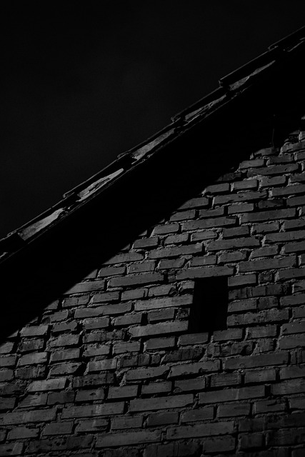 Free Night Mood photo and picture