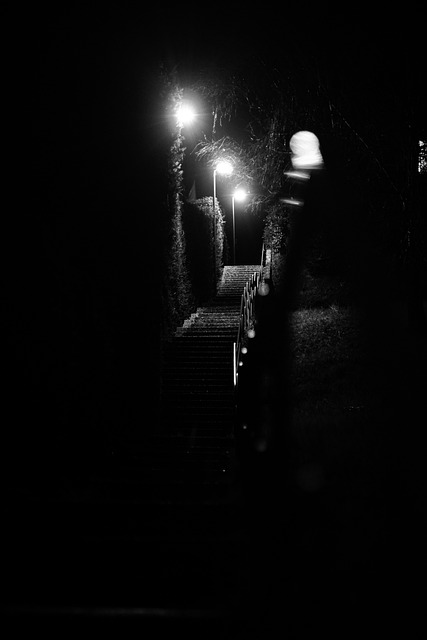 Free Dark Path photo and picture